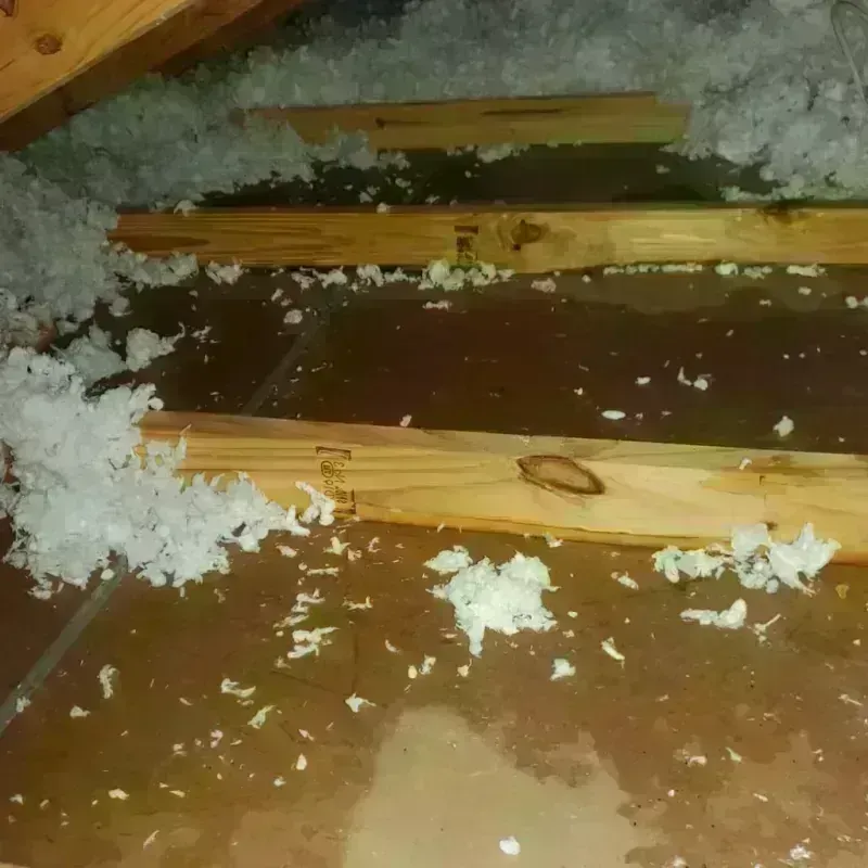 Attic Water Damage in Sheridan, IL