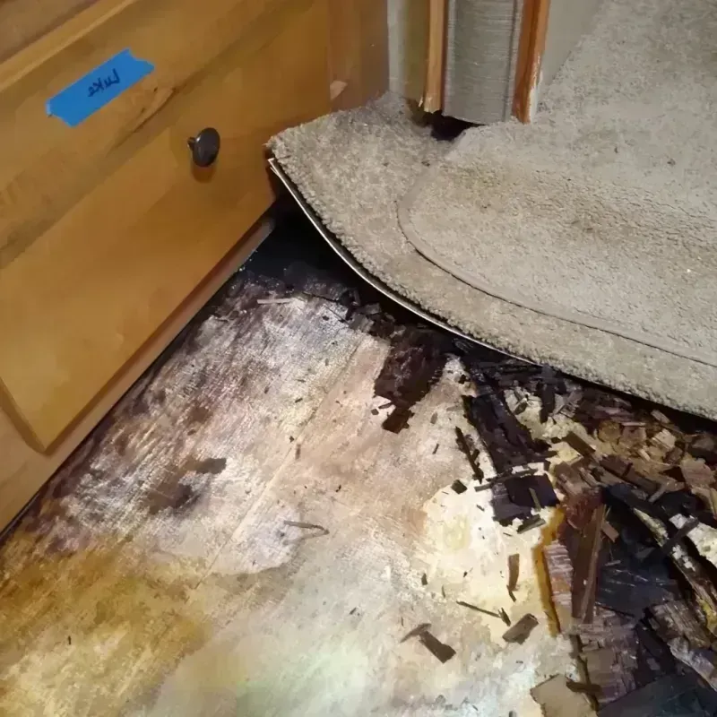 Wood Floor Water Damage in Sheridan, IL